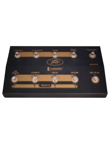 PEAVEY Ecoustic Foot Controller